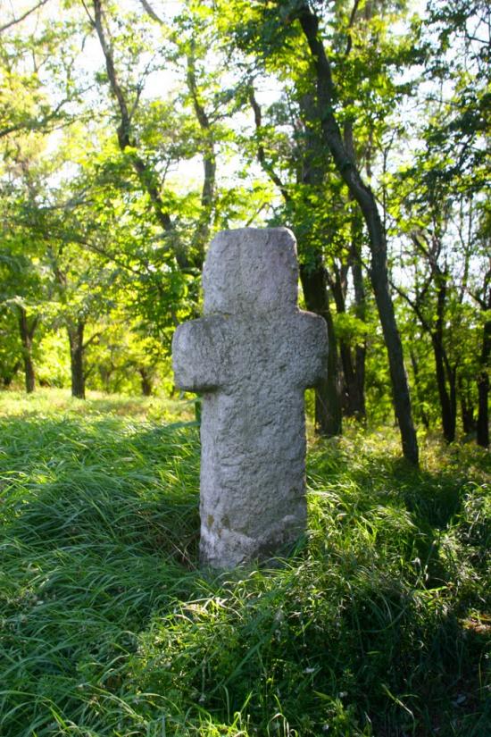 Луковиця з panoramio.com - Луковица