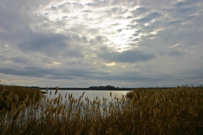 Дніпровка з panoramio.com - Дніпровка