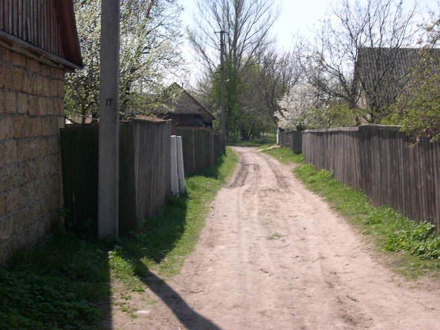 Плесецьке з panoramio.com - Плесецьке