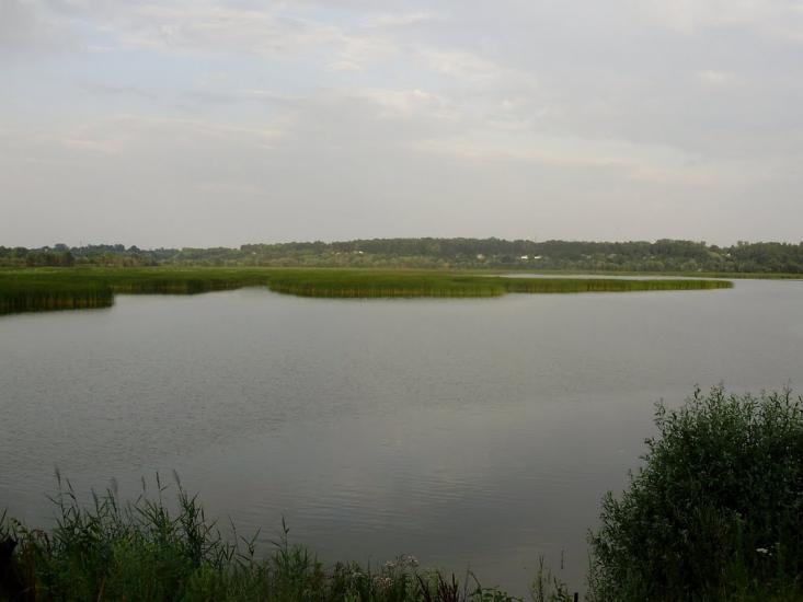 Любеч з panoramio.com - Любеч