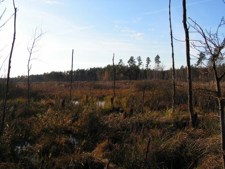 Кошари з panoramio.com - Кошари