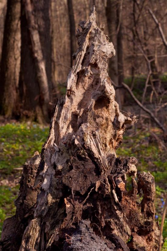 Есхар з panoramio.com - Эсхар