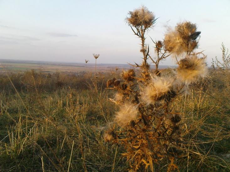 Катеринка з panoramio.com - Катеринка