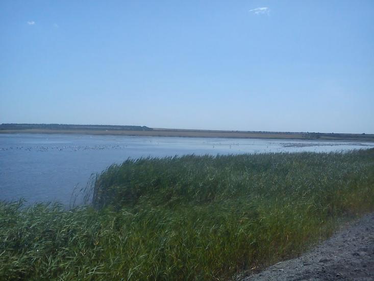 Ювілейне з panoramio.com - Юбилейное