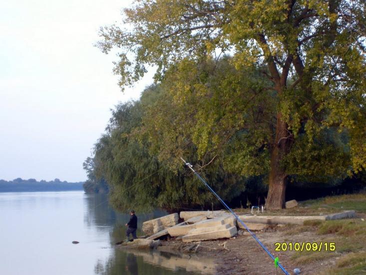 Кислиця з panoramio.com - Кислиця