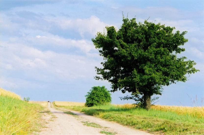 Жуличі з panoramio.com - Жуличі