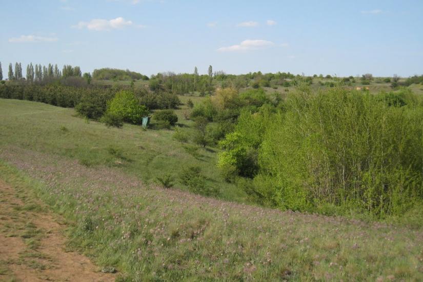 Олександро-Калинове з panoramio.com - Oleksandro-Kalynove