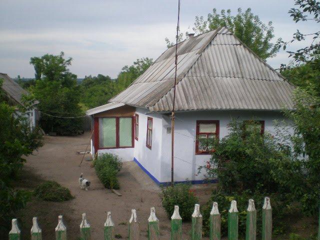 Криве Озеро з panoramio.com - Кривое Озеро