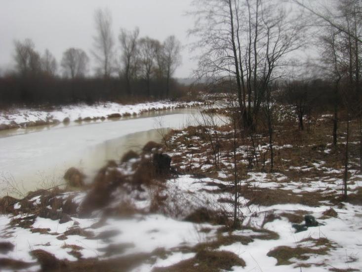 Миси з panoramio.com - Mysy