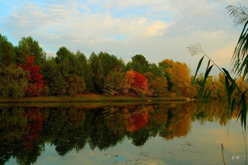 Осещина з panoramio.com - Осещина