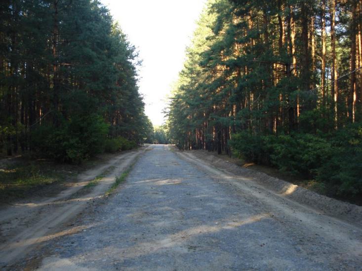 Букине з panoramio.com - Букине