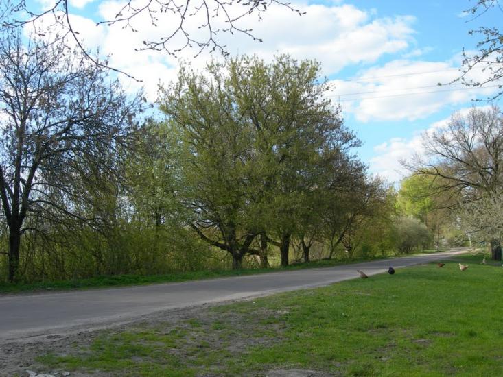 Новостав з panoramio.com - Новостав