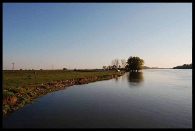 Кислиця з panoramio.com - Кислиця