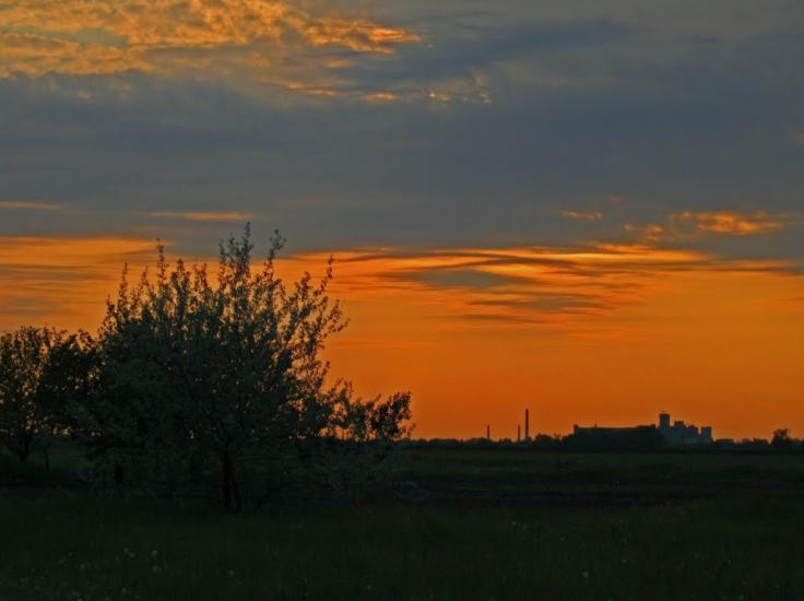 Чапаєвка з panoramio.com - Чапаевка