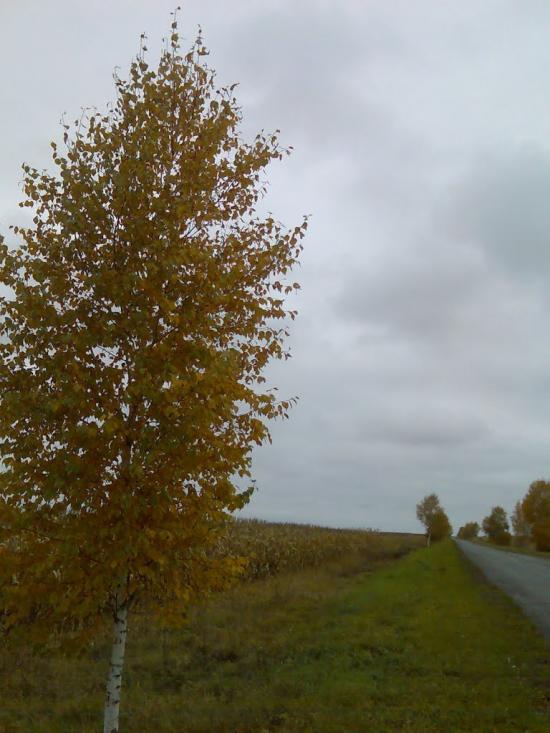 Гнатки з panoramio.com - Гнатки