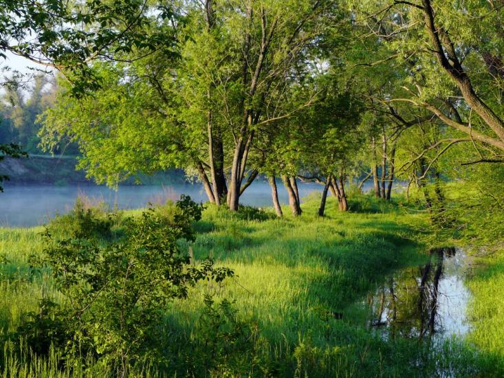 Слов'яносербськ з panoramio.com - Славяносербск