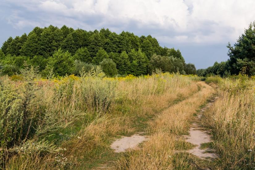 Тростянка з panoramio.com - Тростянка
