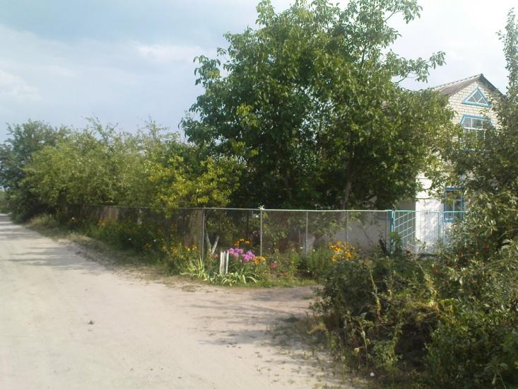 Лиман з panoramio.com - Lyman