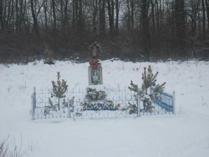 Поріччя Задвірне з panoramio.com - Поріччя Задвірне