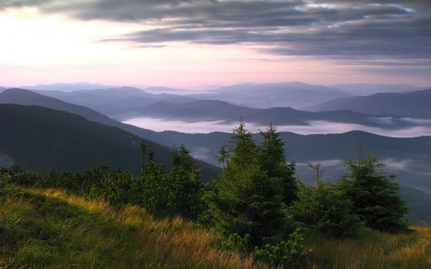 Осмолода з panoramio.com (ч.2) - Осмолода