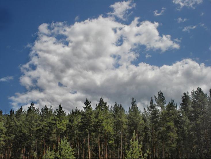 Букине з panoramio.com - Букине