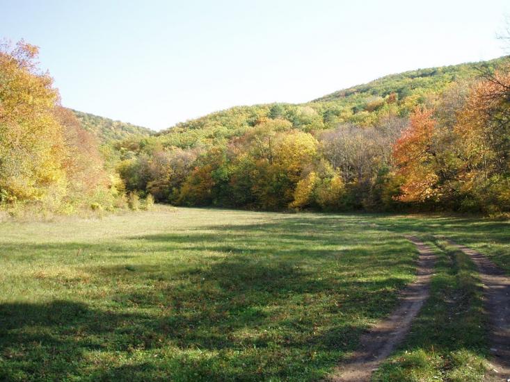 Щасливе з panoramio.com - Schaslyve