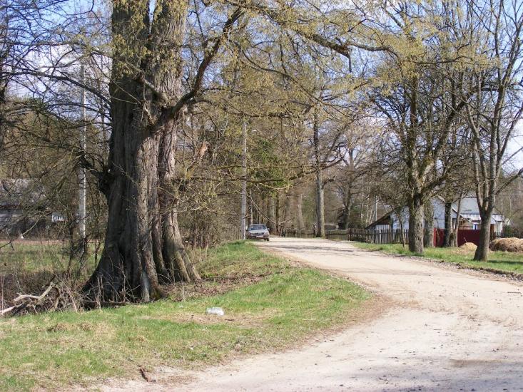 Хрипськ з panoramio.com - Хрипск