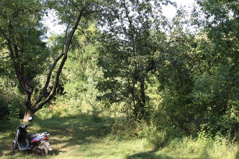 Тарасенки з panoramio.com - Тарасенки