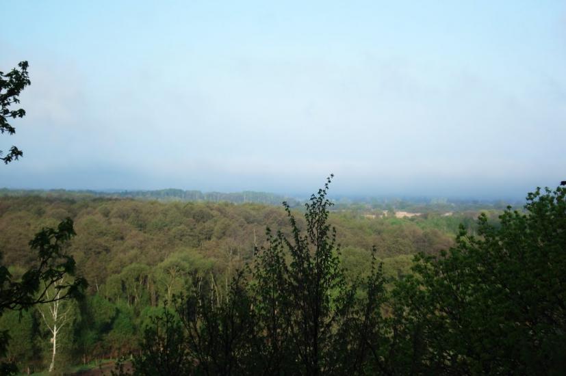 Любеч з panoramio.com - Любеч