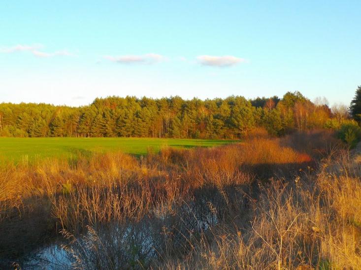 Мощена з panoramio.com - Мощена