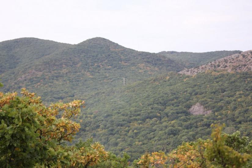 Краснокам'янка з panoramio.com - Краснокаменка