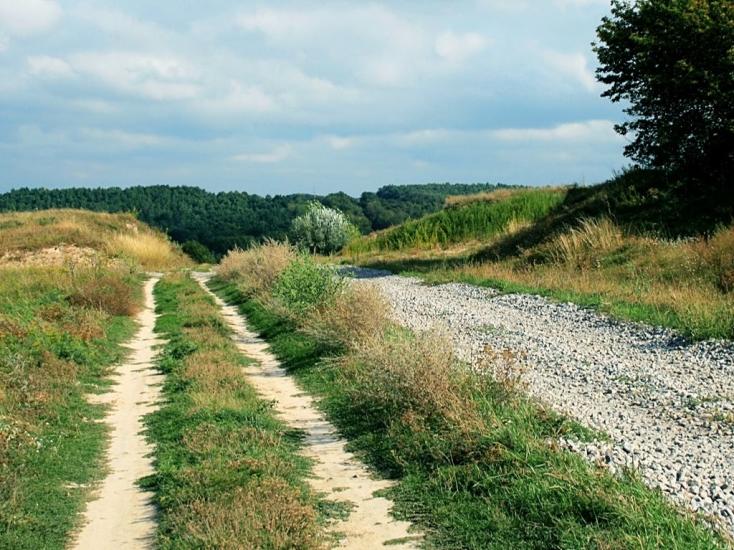 Барахти з panoramio.com - Barakhty