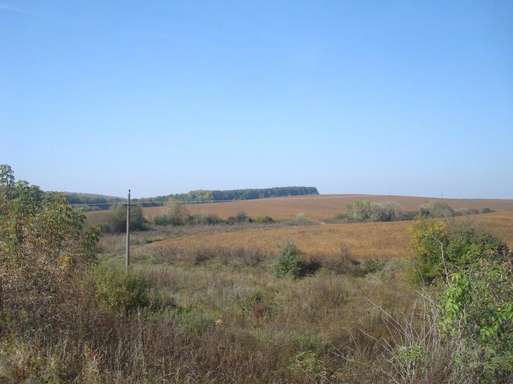Дубівка з panoramio.com - Дубівка