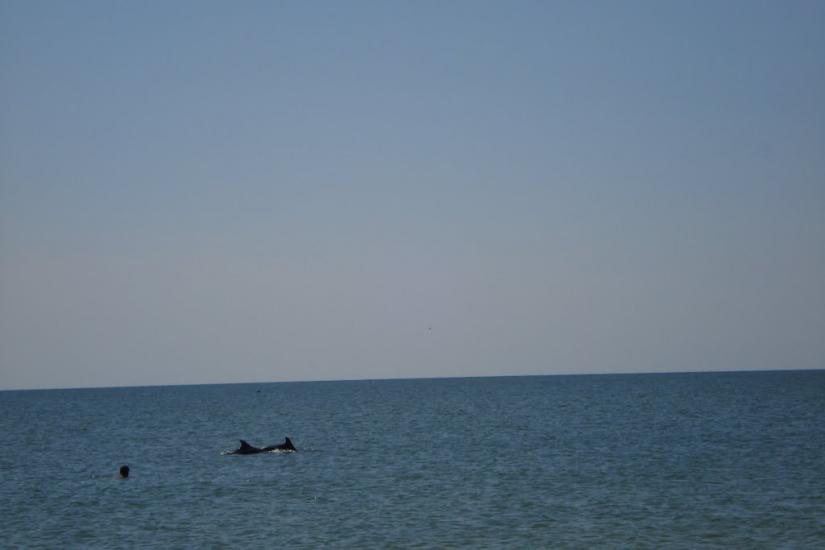 Сергіївка з panoramio.com - Сергіївка