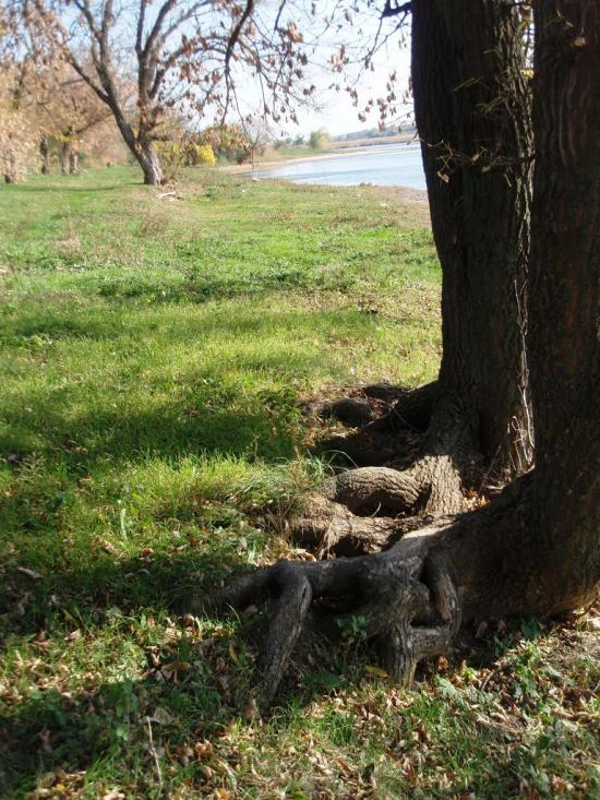 Басань з panoramio.com - Басань