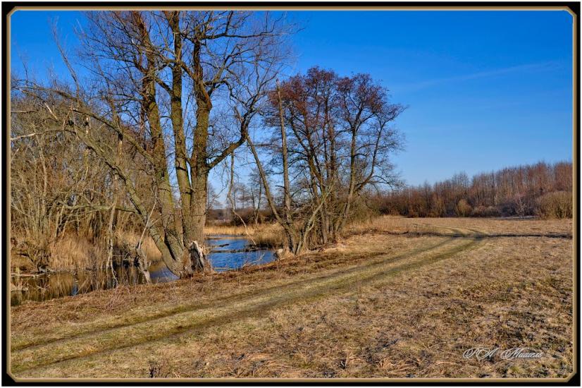 Торське з panoramio.com - Торское