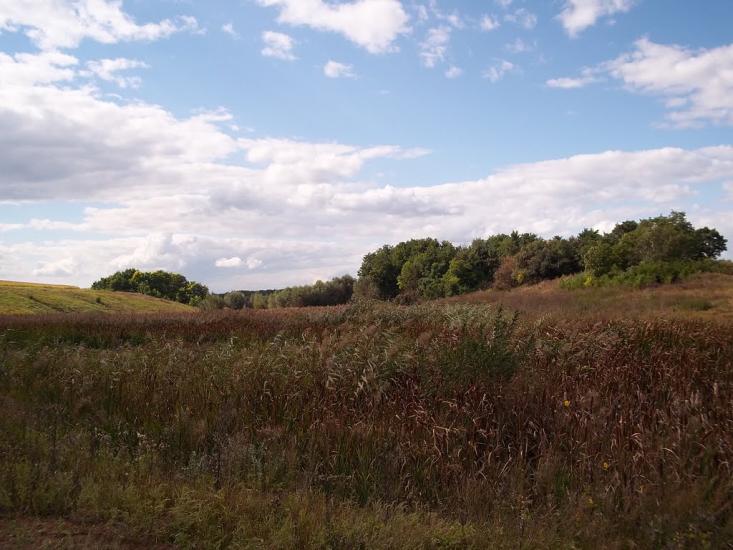 Леніна Друге з panoramio.com - Ленина Второе
