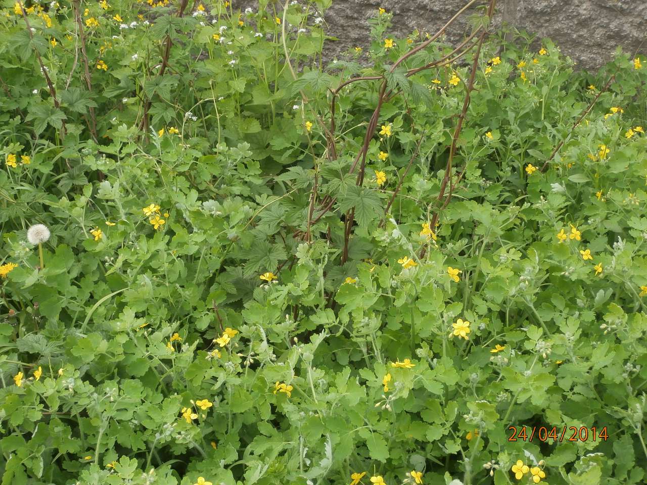 Ватутінський калей доскоп - Ватутино
