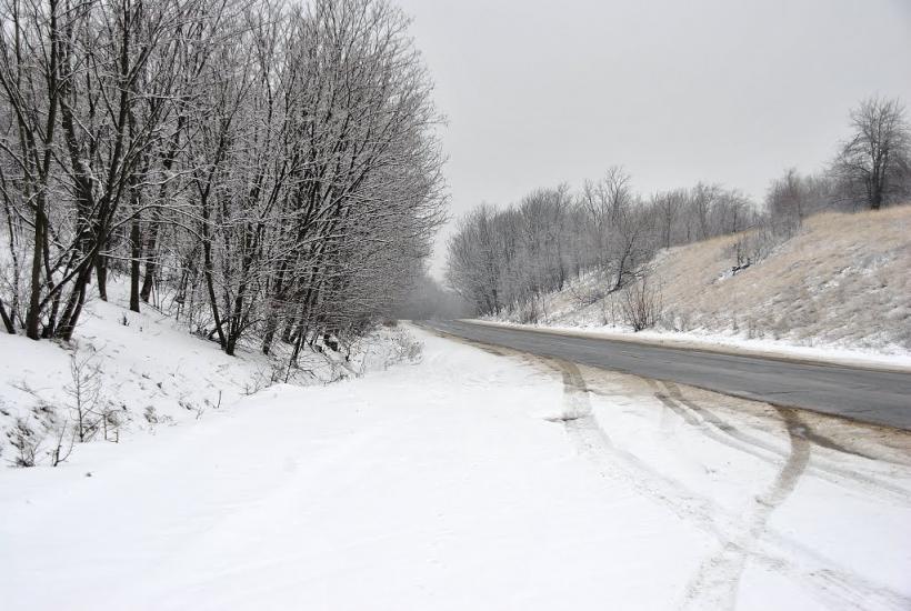 Кам'яні Потоки з panoramio.com - Kamyani Potoky