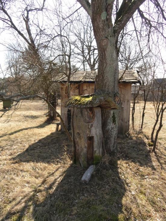 Хрипськ з panoramio.com - Хрипск