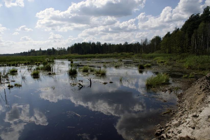 Кошари з panoramio.com - Кошари