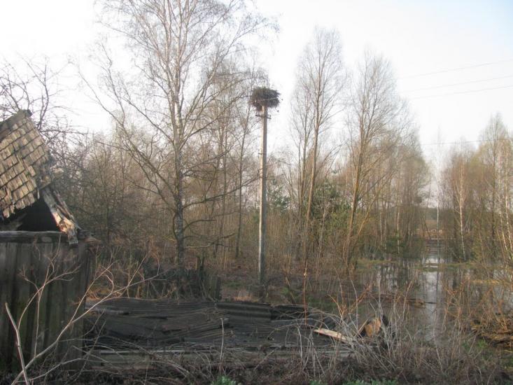 Кукарі з panoramio.com - Кукари