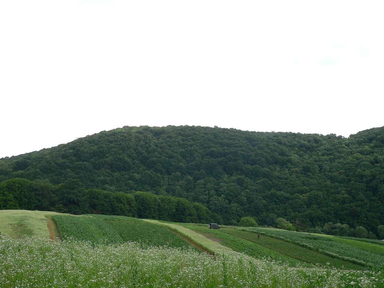 кременець - Kremenets