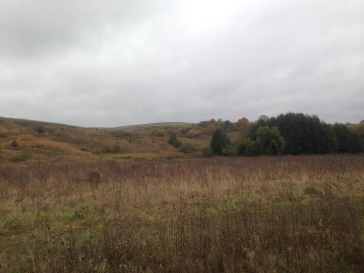 Тишевичі з panoramio.com - Тишевичі