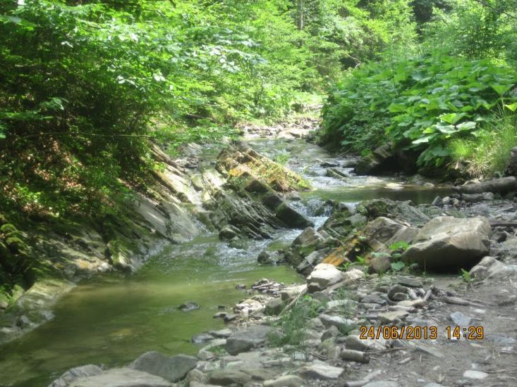 Хорови з panoramio.com - Хоровы