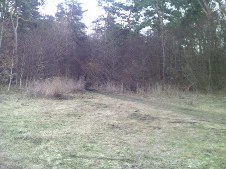 Темногайці з panoramio.com - Темногайці