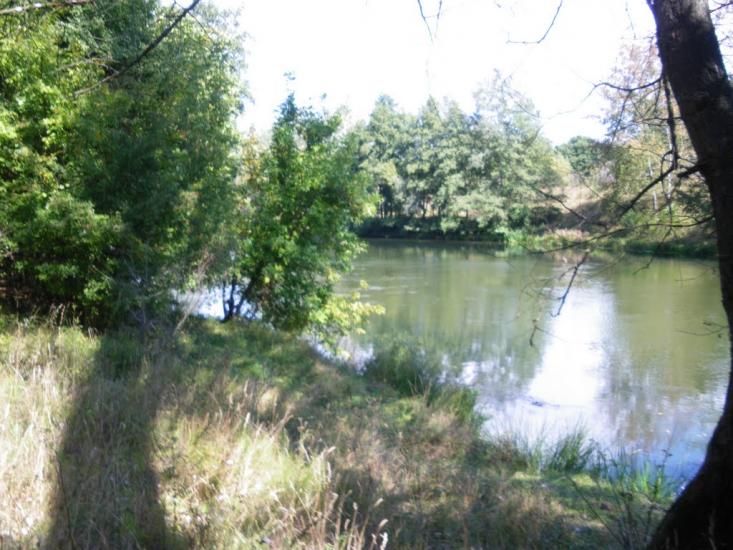 Букине з panoramio.com - Букине