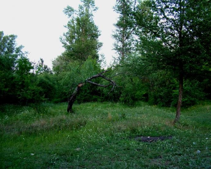 Кардашівка з panoramio.com - Кардашівка