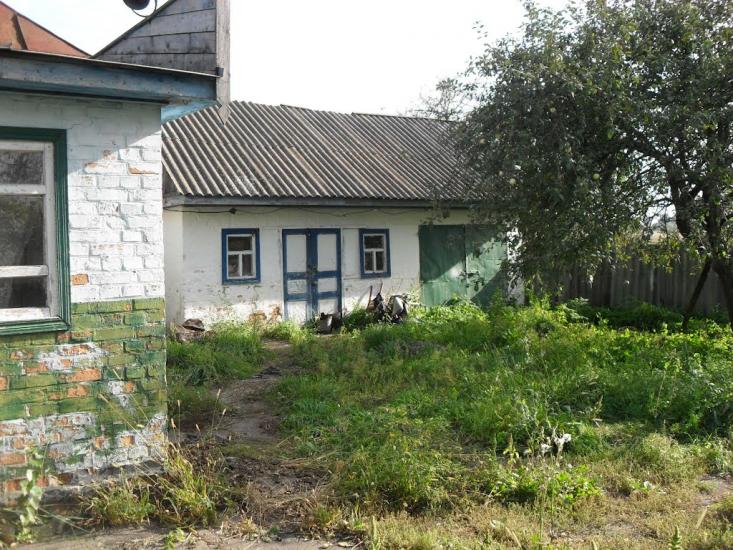 Кравчиха з panoramio.com - Кравчиха