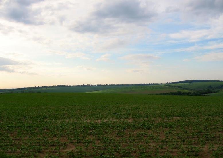 Ворошилівка з panoramio.com - Ворошиловка